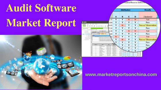 Audit Softwares Market Research