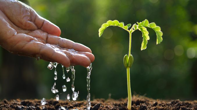 Soil Wetting Agents Market