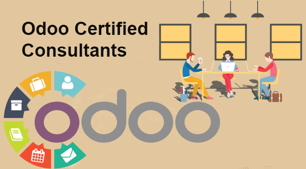 Odoo Certified Consultants