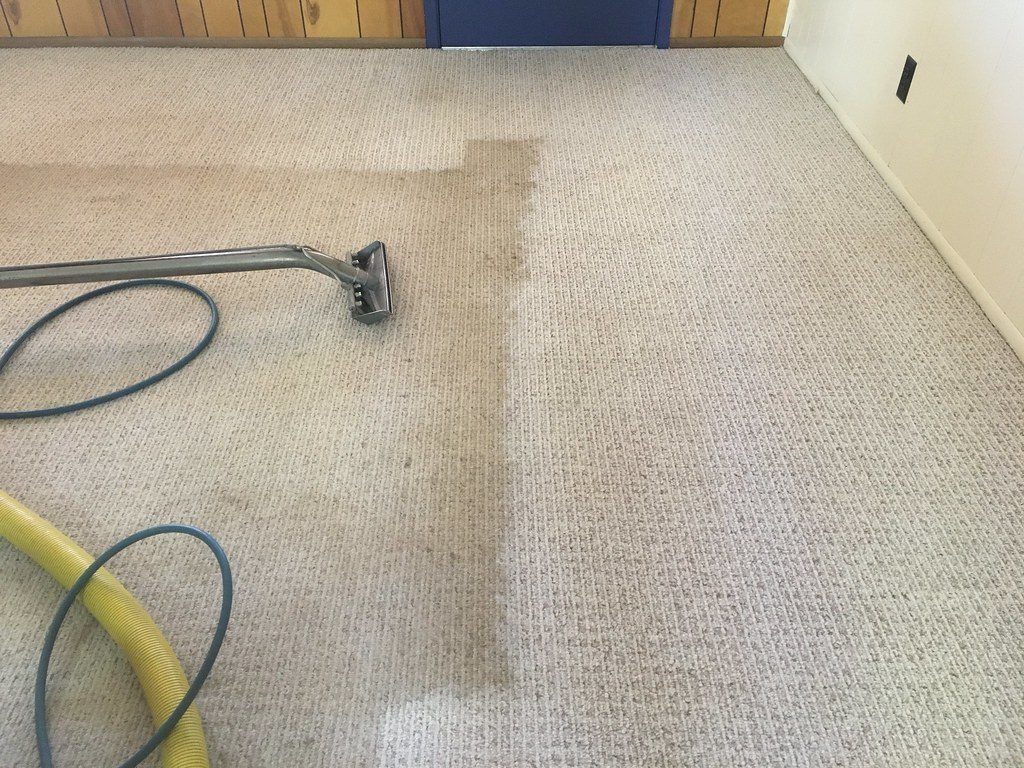 carpet1
