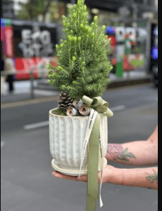 The Bloom Chronicles: Melbourne Flower Merchant’s Guide to Choosing the Perfect Floral Ensemble