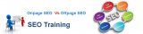 SEO Course in Delhi by IIADM
