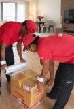 Green Moving Solutions: 5 Biodegradable Bubble Wrap Replacements