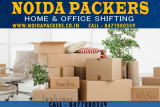 Noida Packers- reasons which affect shifting