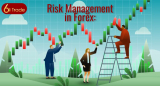 Risk Management in Forex: A Guide for Traders